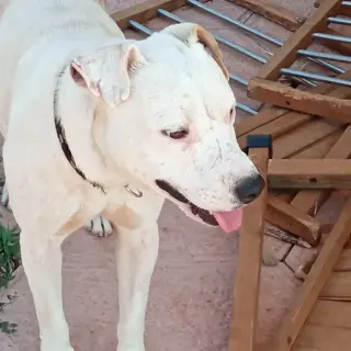 Zero