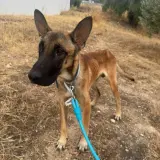 Adopta a Titán