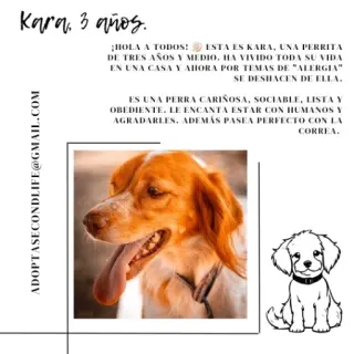 Kara