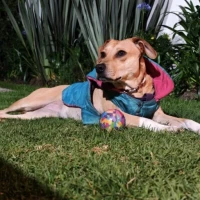 Adopta a Mandarina