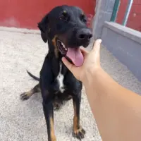 Adopta a Zumba