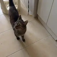 Adopta a Sierra