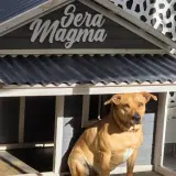 Adopta a Magma