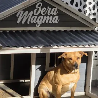 Magma