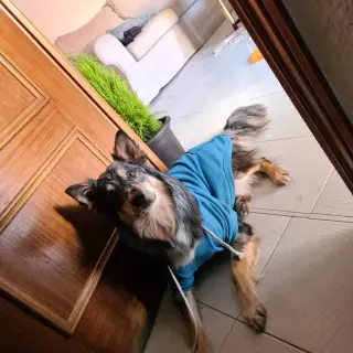 Luke