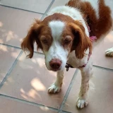 Adopta a Mina