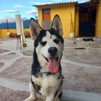 Adopta a Lucky