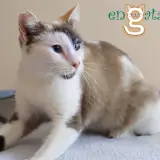 Adopta a Nami