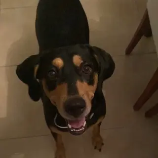Fresa