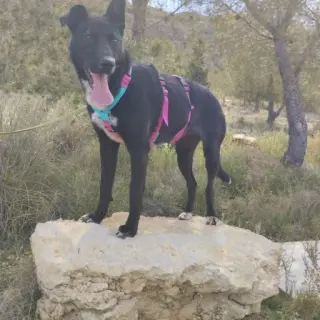 Tina