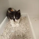 Adopta a Mar