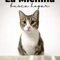 Adopta a Michina
