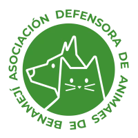 ADAB luchadores Benameji