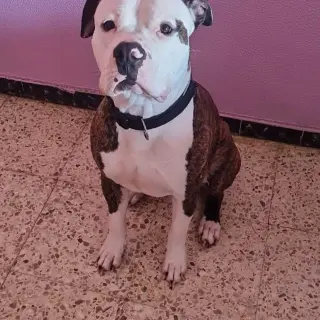 Max