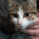 Adopta a Kiara