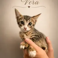 Adopta a Vera