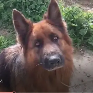 Pakros