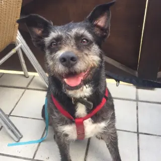 Tula