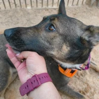 Adopta a Luna