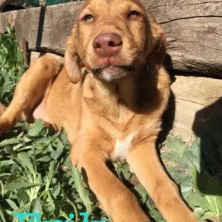 Erik
