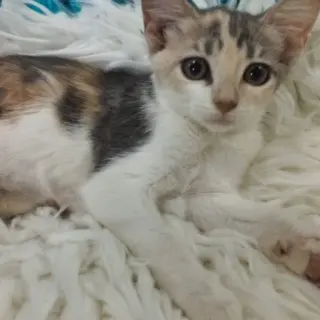 Rita