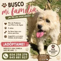 Adopta a Alair
