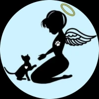 Gestión y Protección Felina Aragón