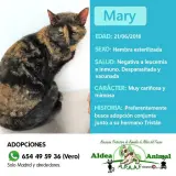 Adopta a Mary