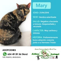 Adopta a Mary