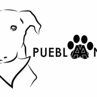 Pueblanimal