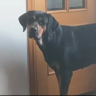 Linda