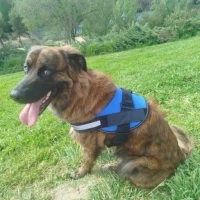 Adopta a Blacky