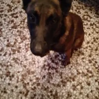 Adopta a Yanky