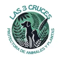 Asociacion Protectora De Animales Y Plantas 3 Cruces