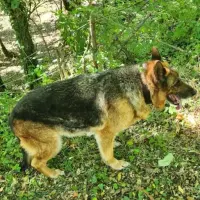 Adopta a Luna