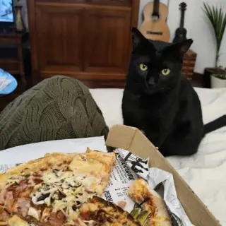 Pantera