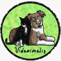Asociación Vidanimalis