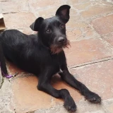 Adopta a Leydi Montilla