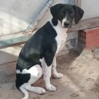 Friend