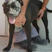 Adopta a Lia 3