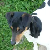 Adopta a Maria