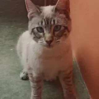 Sebastián
