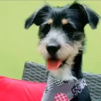 Adopta a Luna