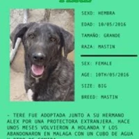 Adopta a Tere