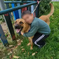 Adopta a Ozzy