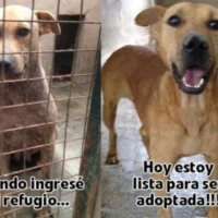Adopta a Belén