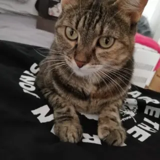 Mia