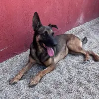 Adopta a Isaac