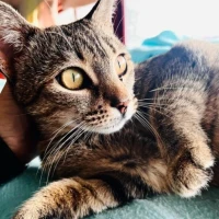 Adopta a Lupe 🌼