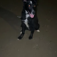 Adopta a Luna